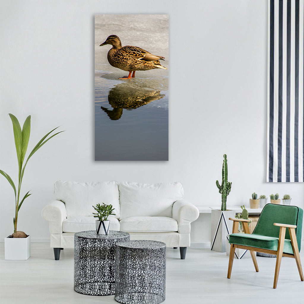 duck animals water wild bird duck Vertical Canvas Wall Art