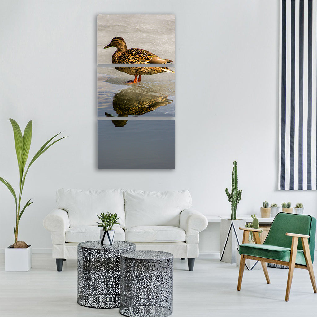 duck animals water wild bird duck Vertical Canvas Wall Art
