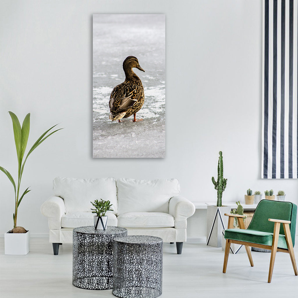 duck animals water wild bird duck Vertical Canvas Wall Art