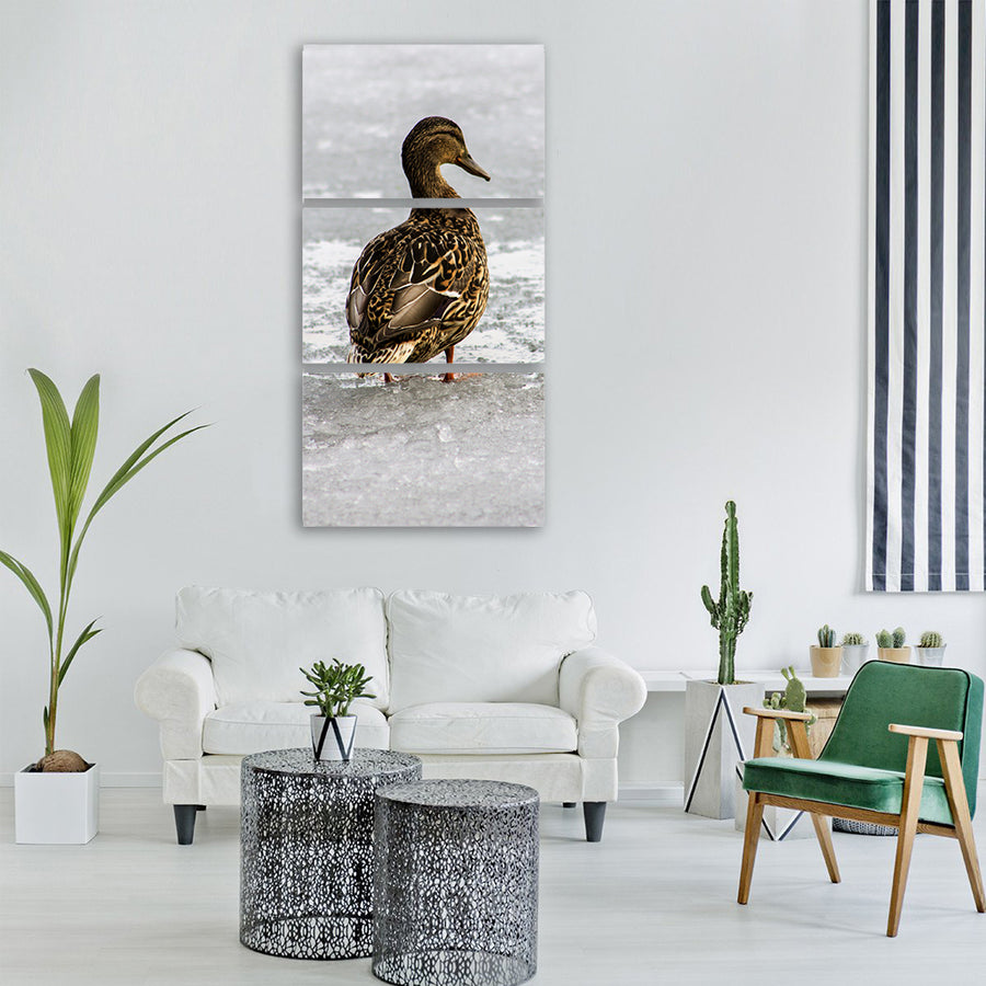 duck animals water wild bird duck Vertical Canvas Wall Art