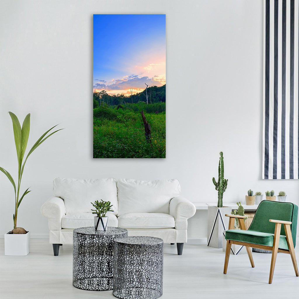 field sunset trees summer nature Vertical Canvas Wall Art