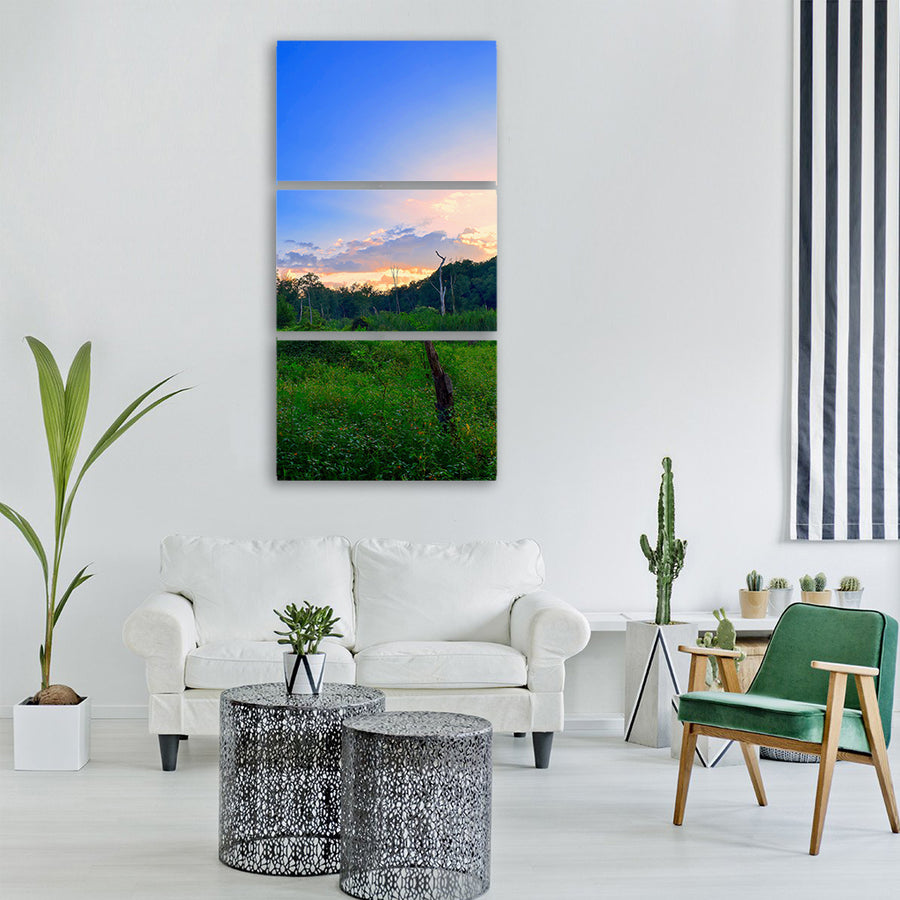 field sunset trees summer nature Vertical Canvas Wall Art