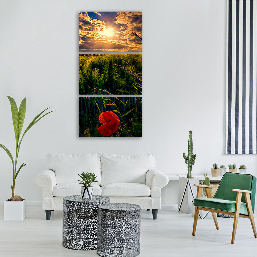 flower poppy cornfield nature Vertical Canvas Wall Art