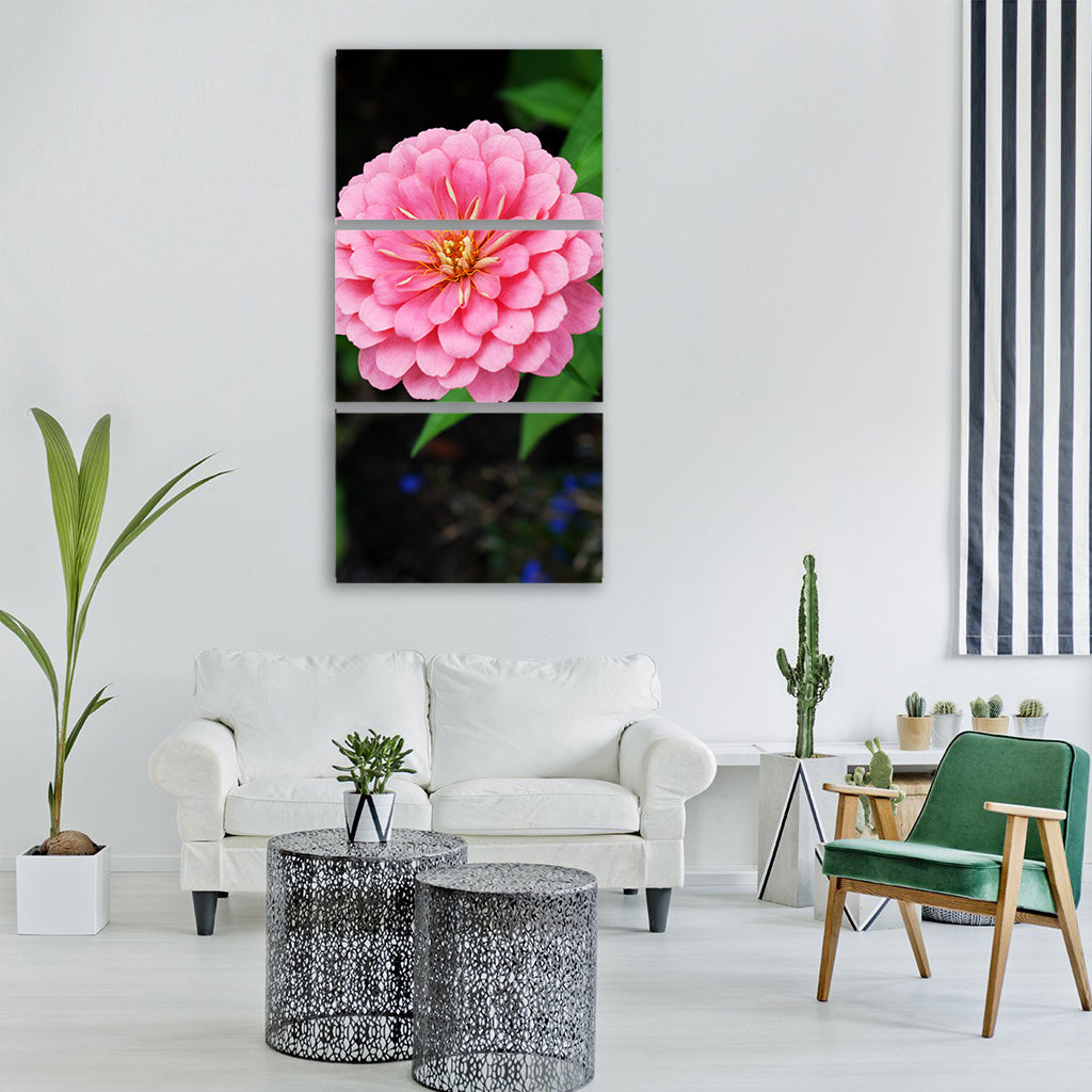 flower nature plant garden summer Vertical Canvas Wall Art