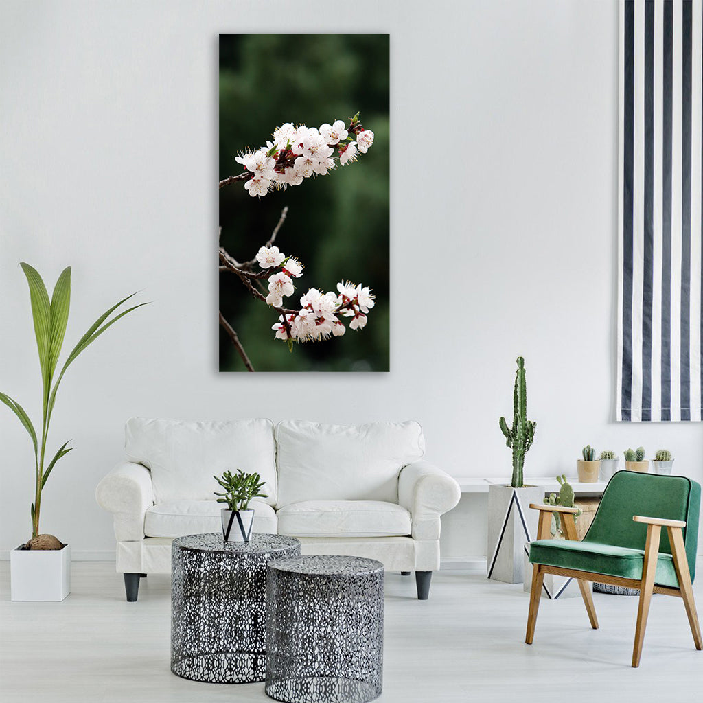 flowers nature plants cherry tree Vertical Canvas Wall Art