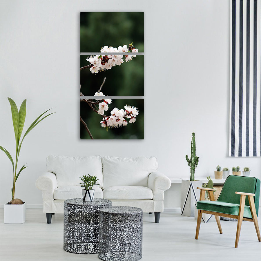flowers nature plants cherry tree Vertical Canvas Wall Art