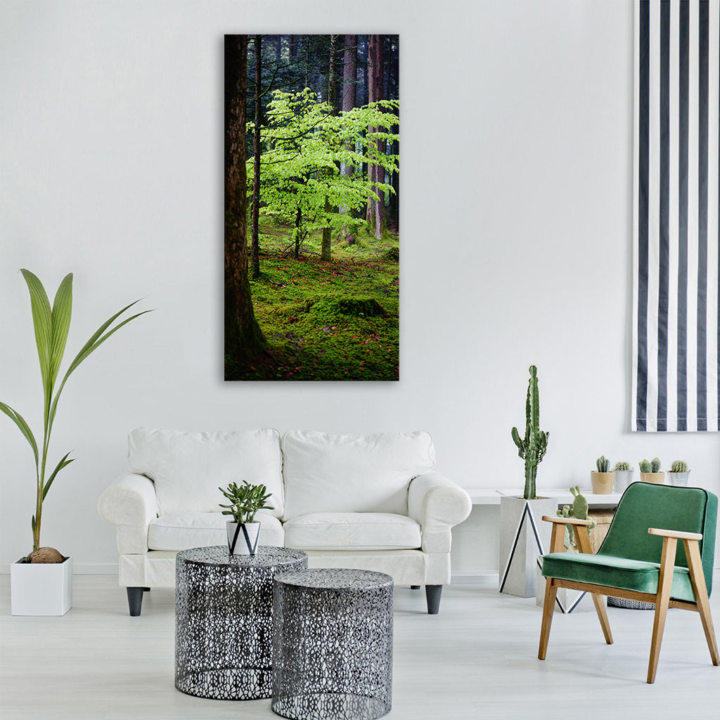 forest beech leaves trees nature Vertical Canvas Wall Art