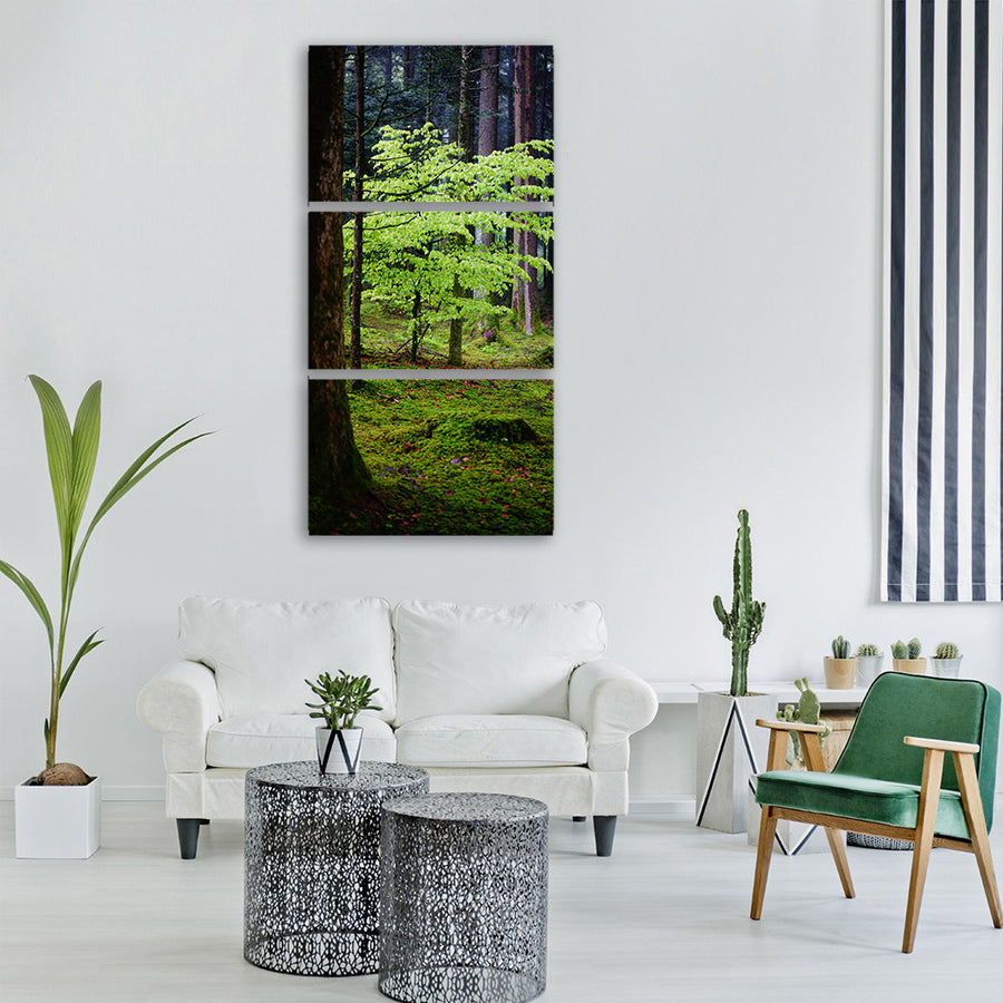 forest beech leaves trees nature Vertical Canvas Wall Art