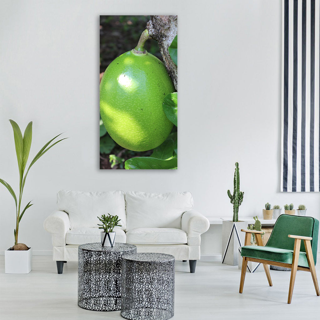 fruit calabash tree villavicencio Vertical Canvas Wall Art