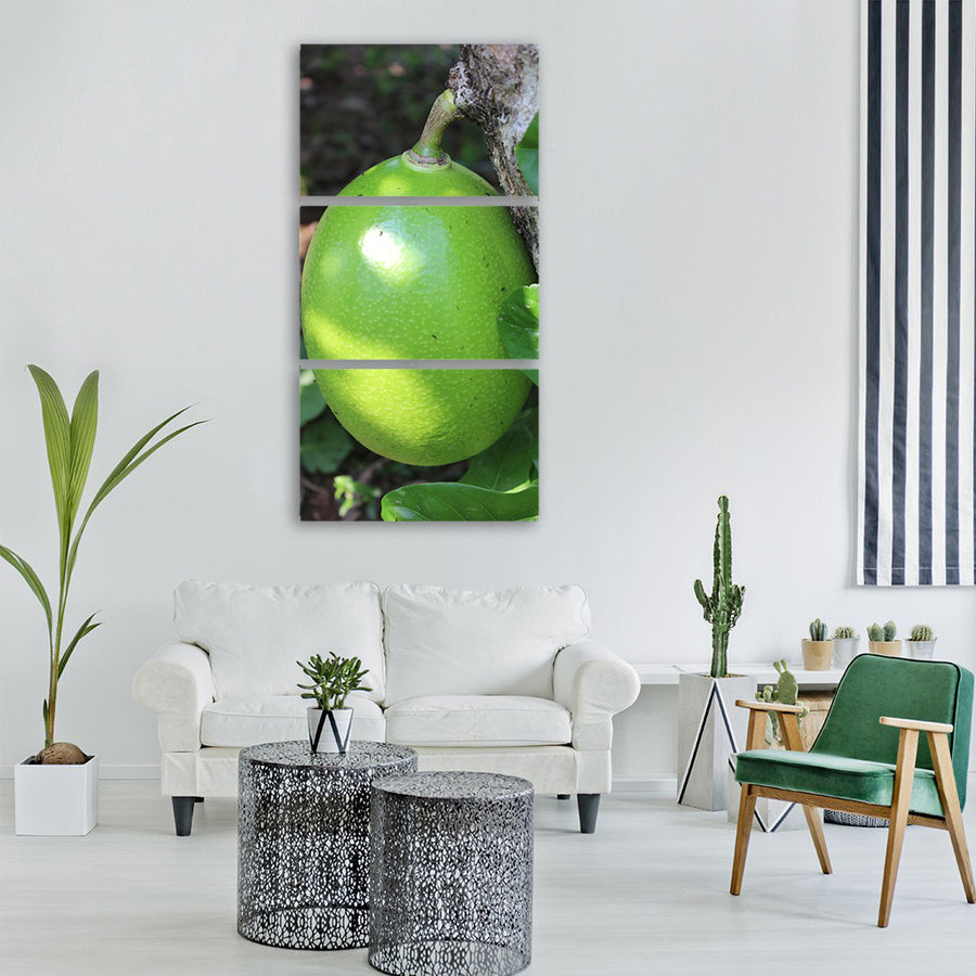 fruit calabash tree villavicencio Vertical Canvas Wall Art
