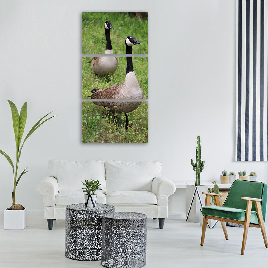 goose bird wildlife nature animal Vertical Canvas Wall Art