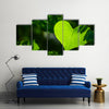 The Green Love Multi Panel Canvas Wall Art Set