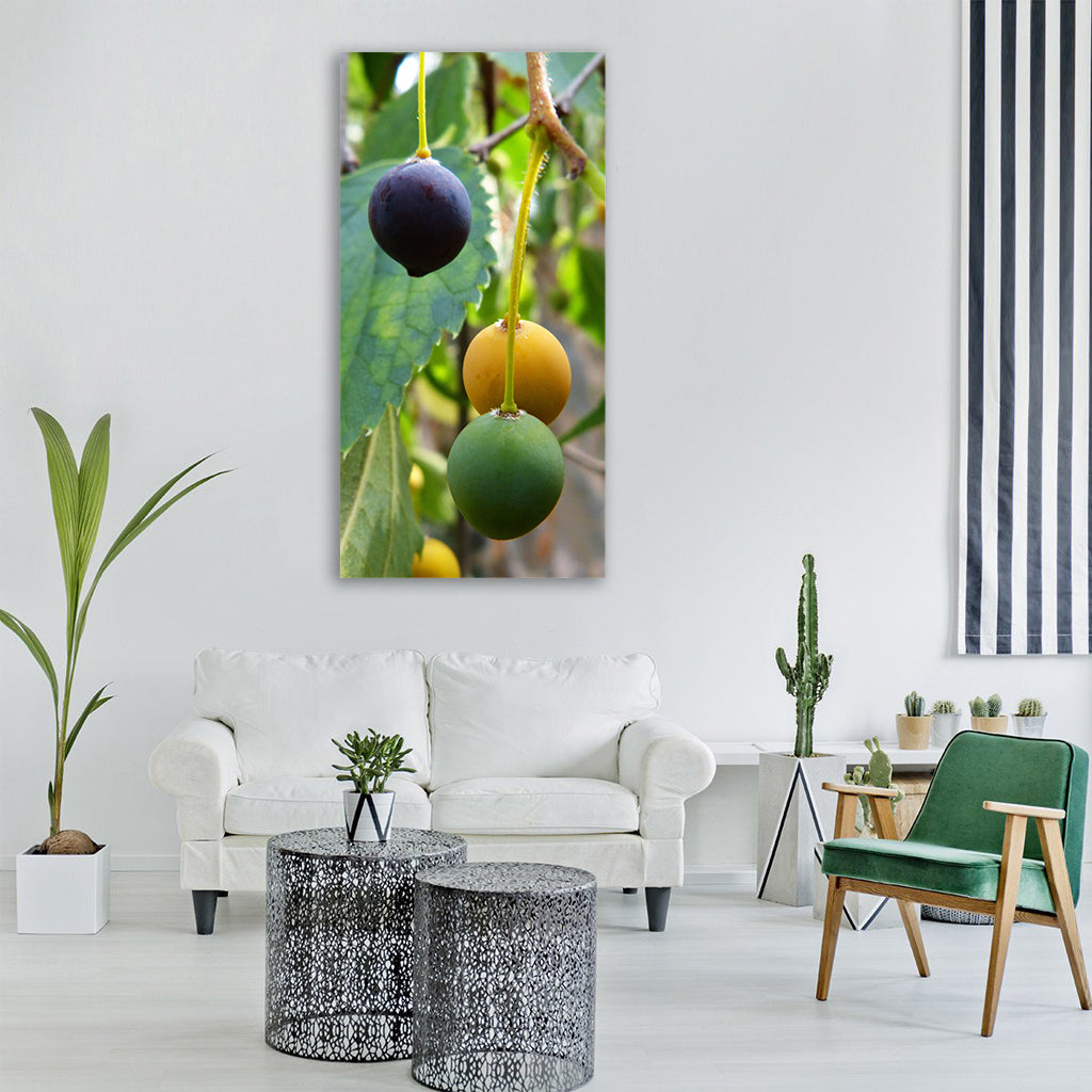 hackberry maturation concept lledo Vertical Canvas Wall Art