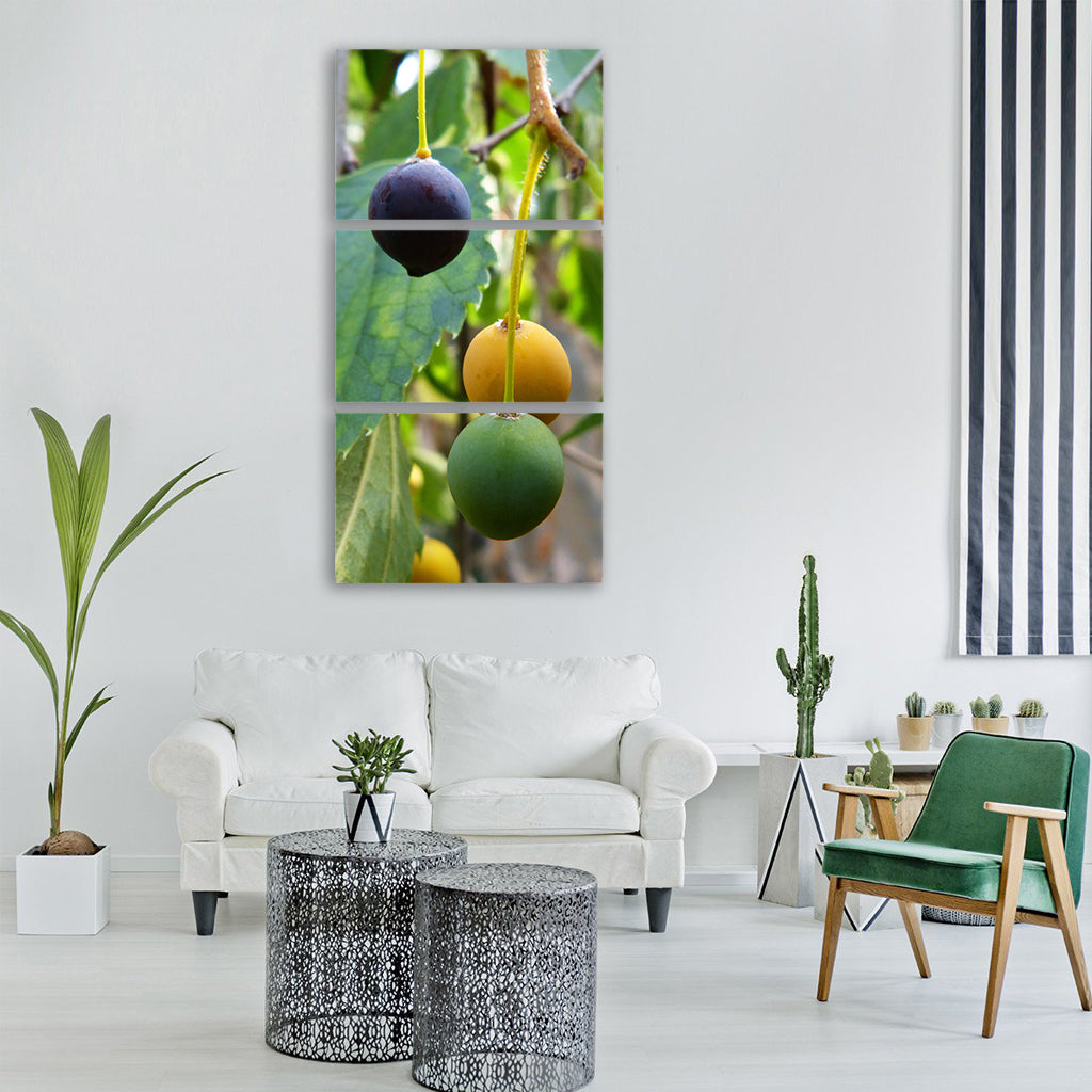 hackberry maturation concept lledo Vertical Canvas Wall Art