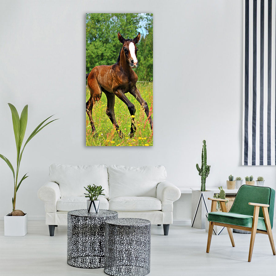 horse gallop foal Vertical Canvas Wall Art