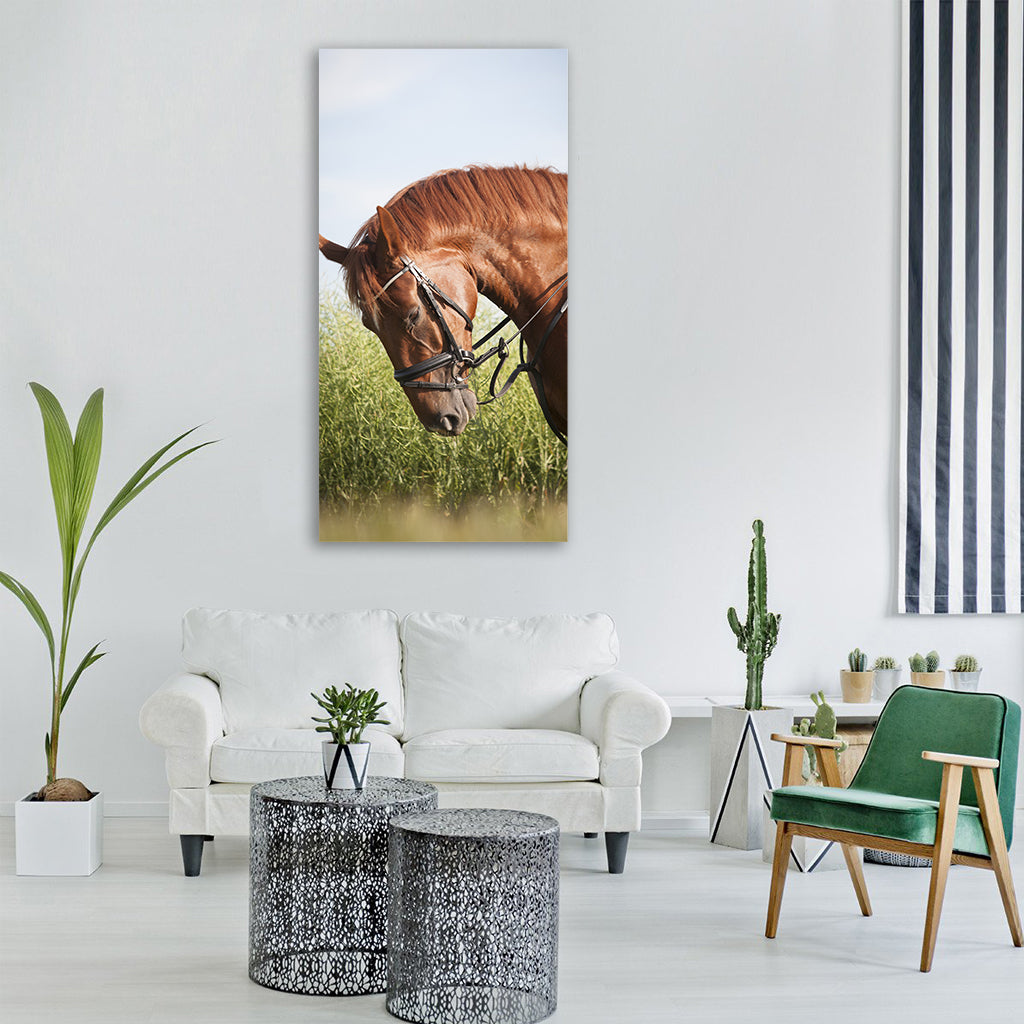 horse rusty mane bridle uzdečka Vertical Canvas Wall Art