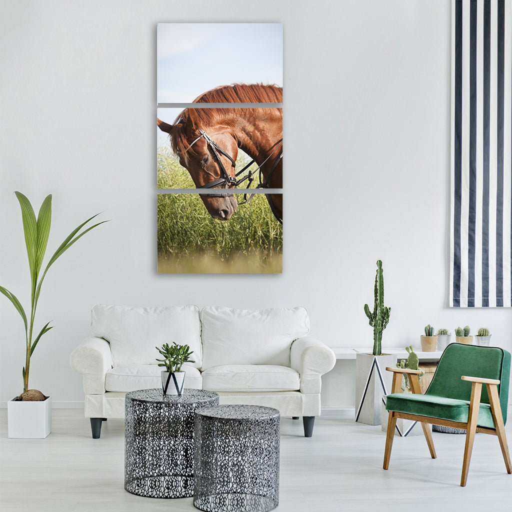 horse rusty mane bridle uzdečka Vertical Canvas Wall Art
