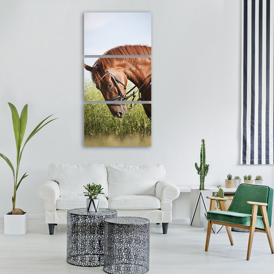 horse rusty mane bridle uzdečka Vertical Canvas Wall Art