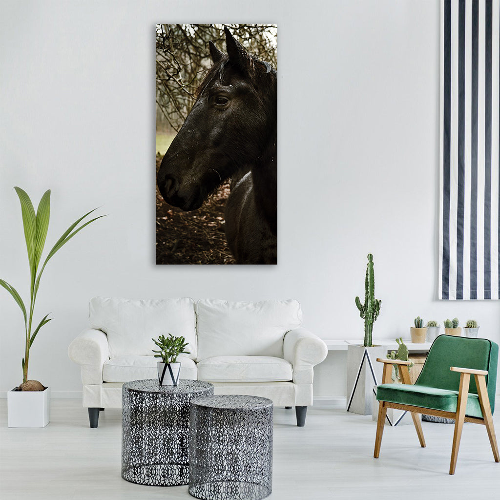 horse black animal head mammal Vertical Canvas Wall Art