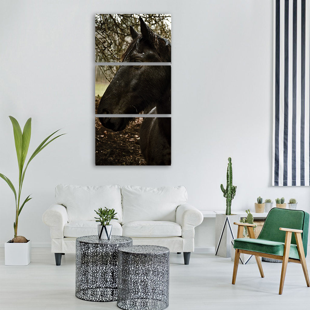 horse black animal head mammal Vertical Canvas Wall Art