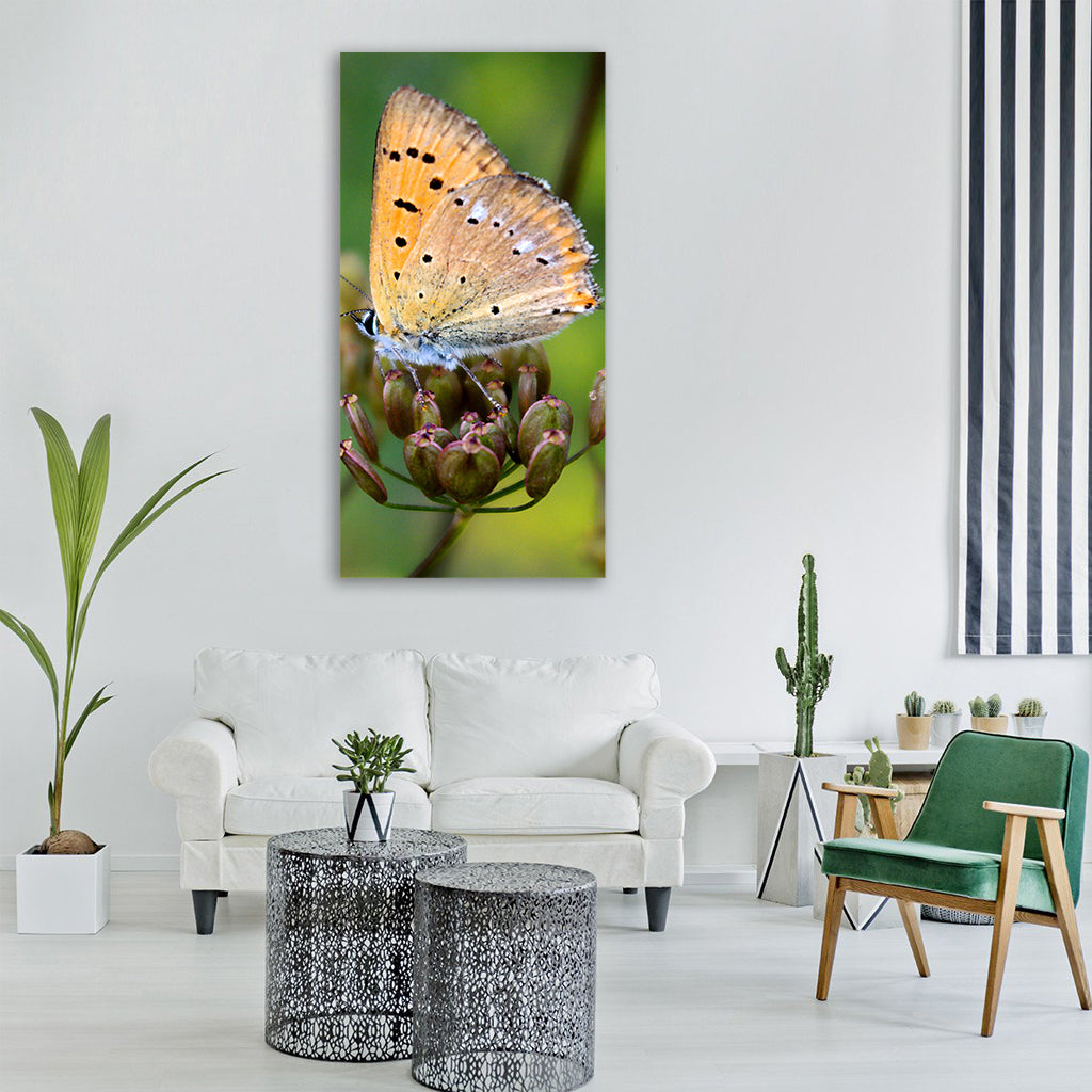 insect butterfly day nature Vertical Canvas Wall Art