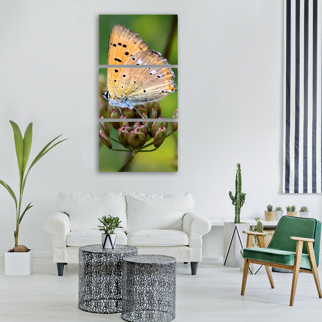 insect butterfly day nature Vertical Canvas Wall Art
