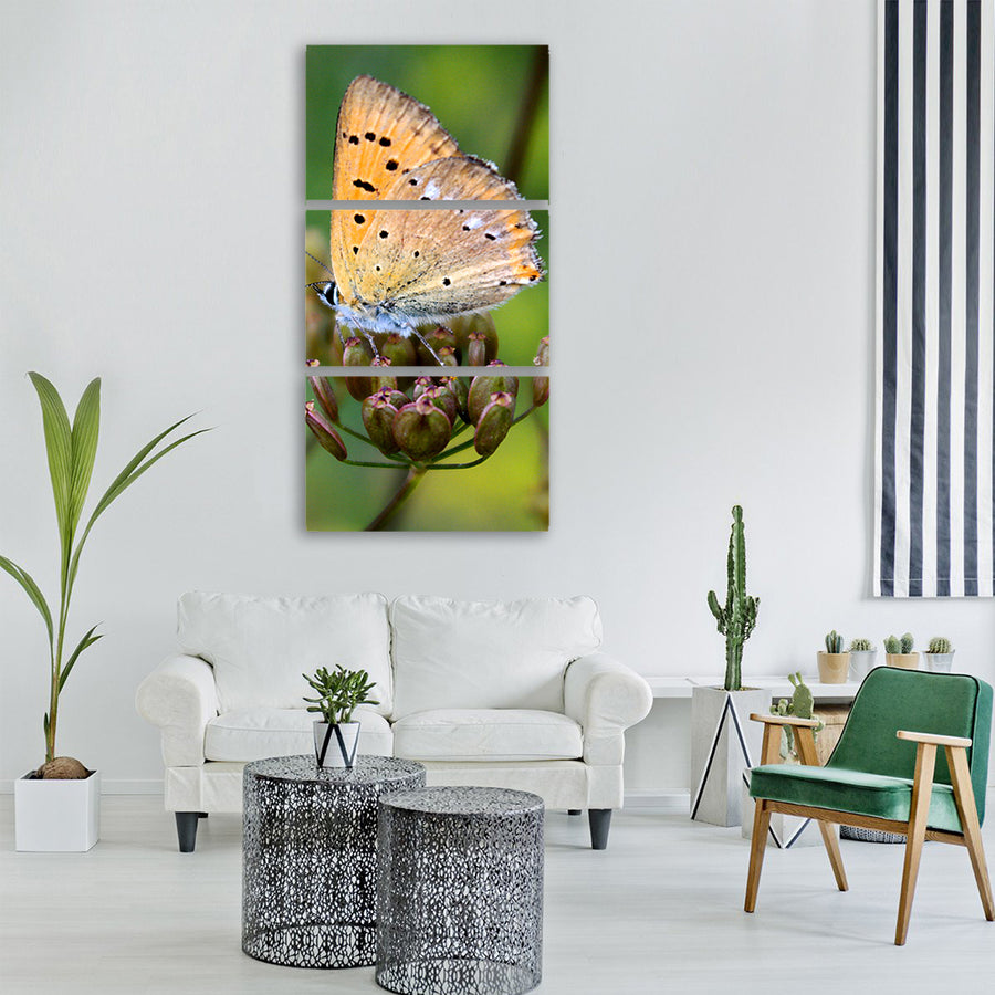 insect butterfly day nature Vertical Canvas Wall Art