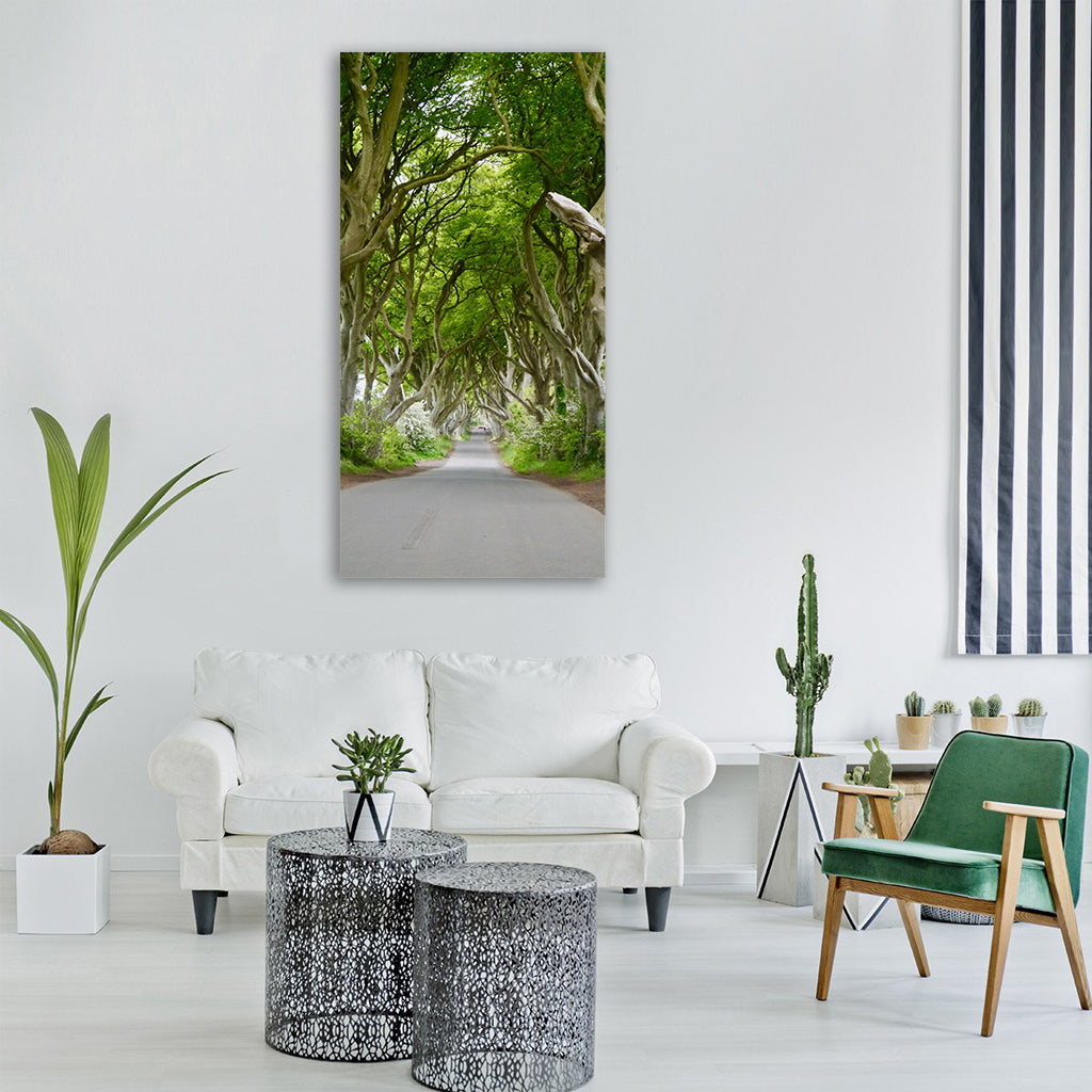 ireland the dark hedges beech trees Vertical Canvas Wall Art