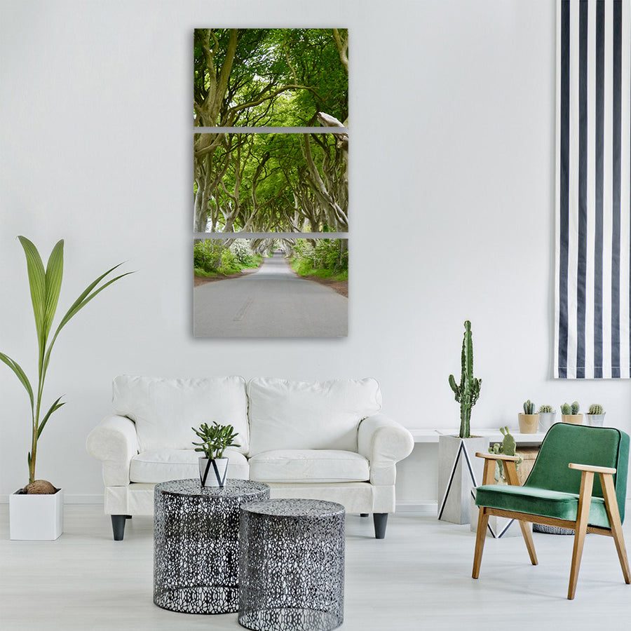 ireland the dark hedges beech trees Vertical Canvas Wall Art
