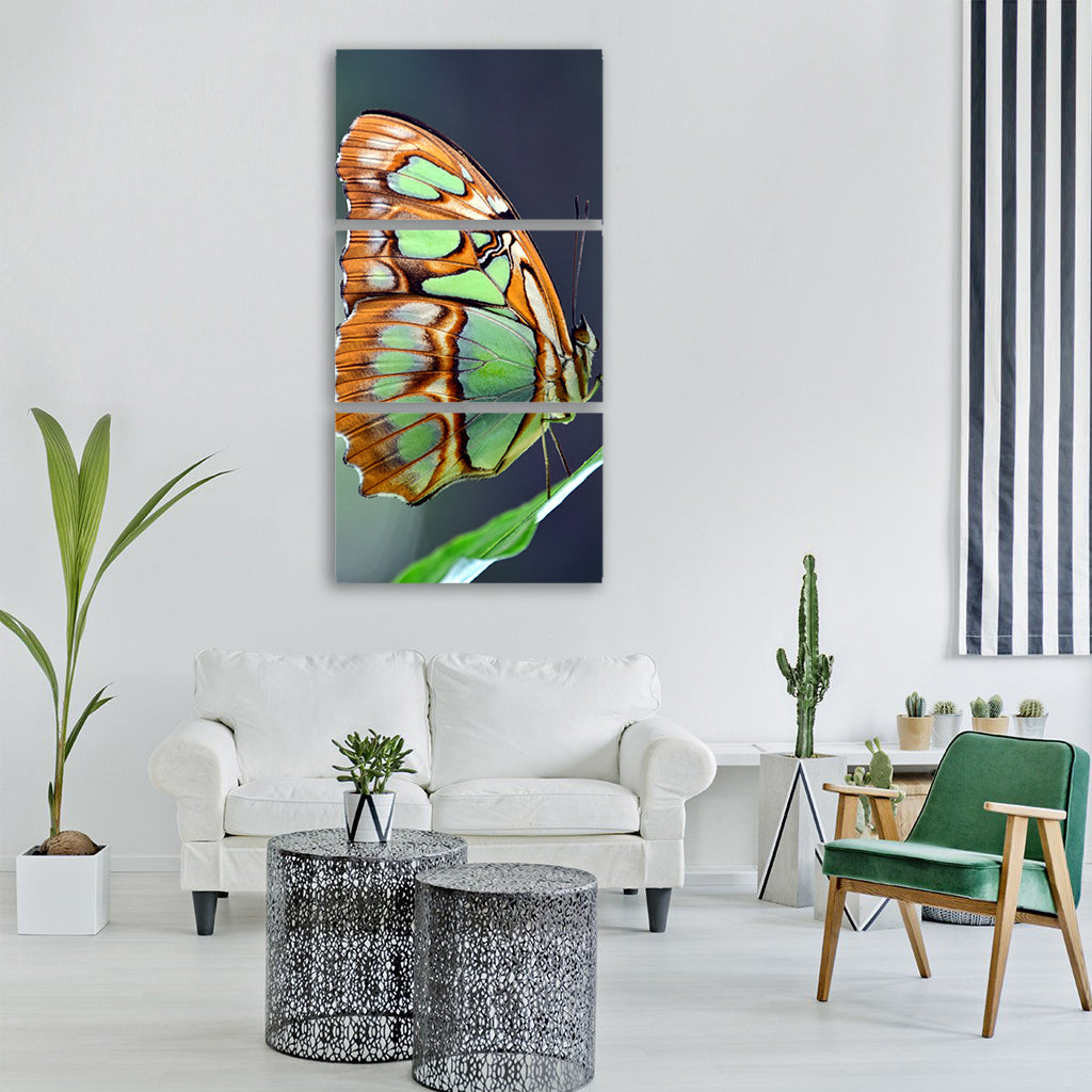malachite spirotea steles butterfly Vertical Canvas Wall Art