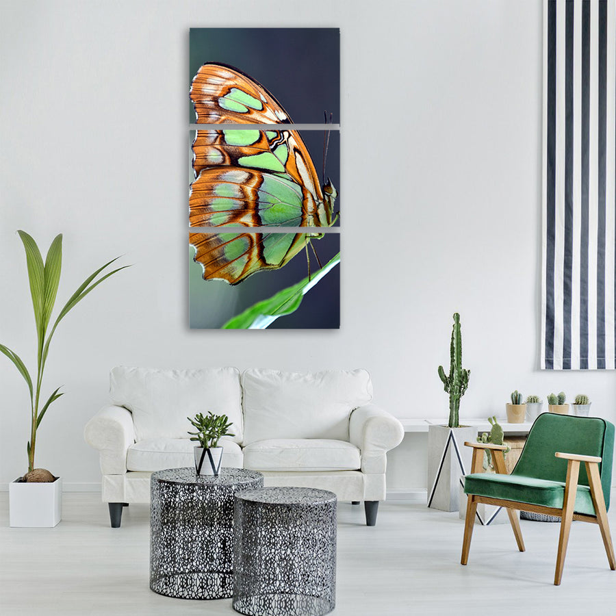 malachite spirotea steles butterfly Vertical Canvas Wall Art