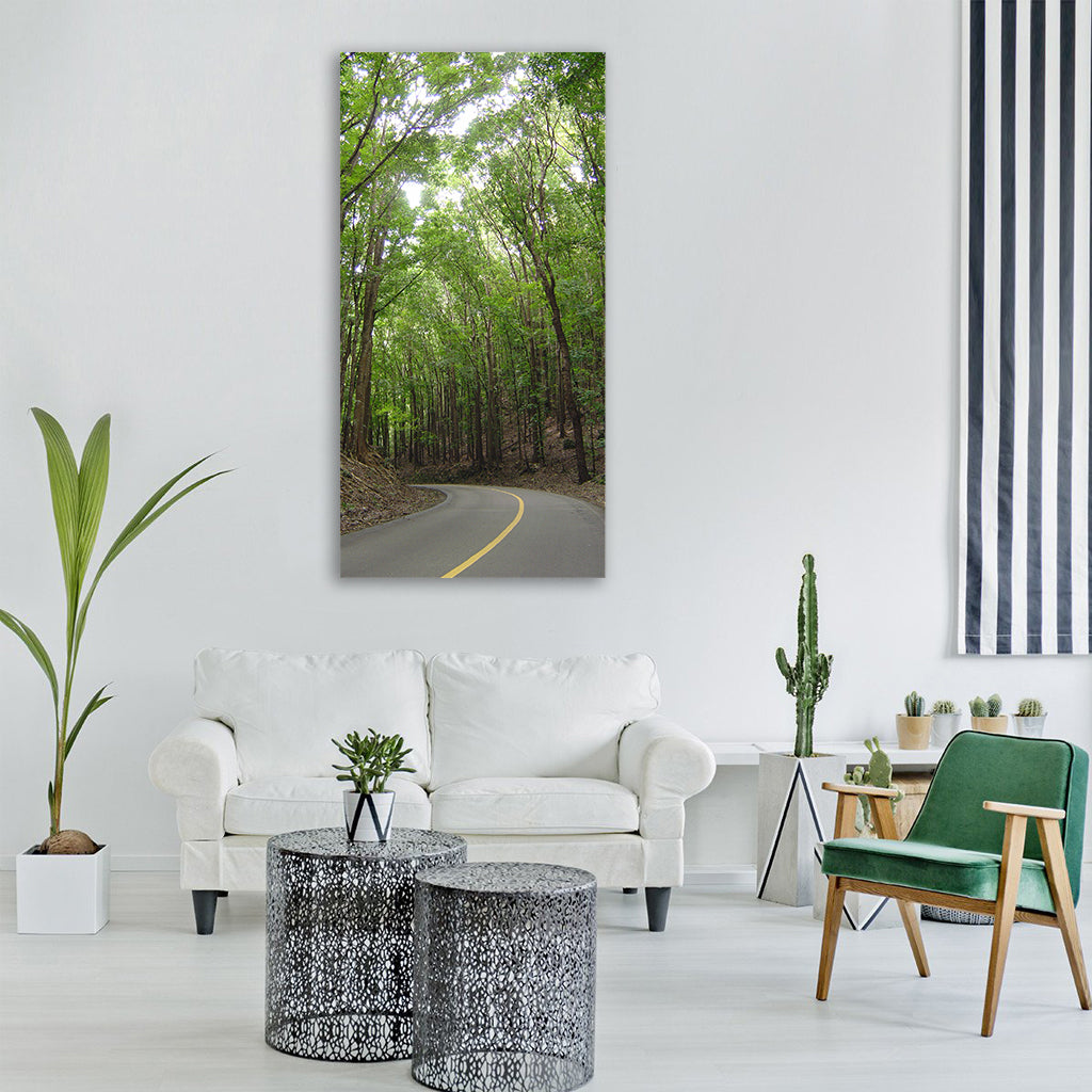 man made forest bohol philippines Vertical Canvas Wall Art