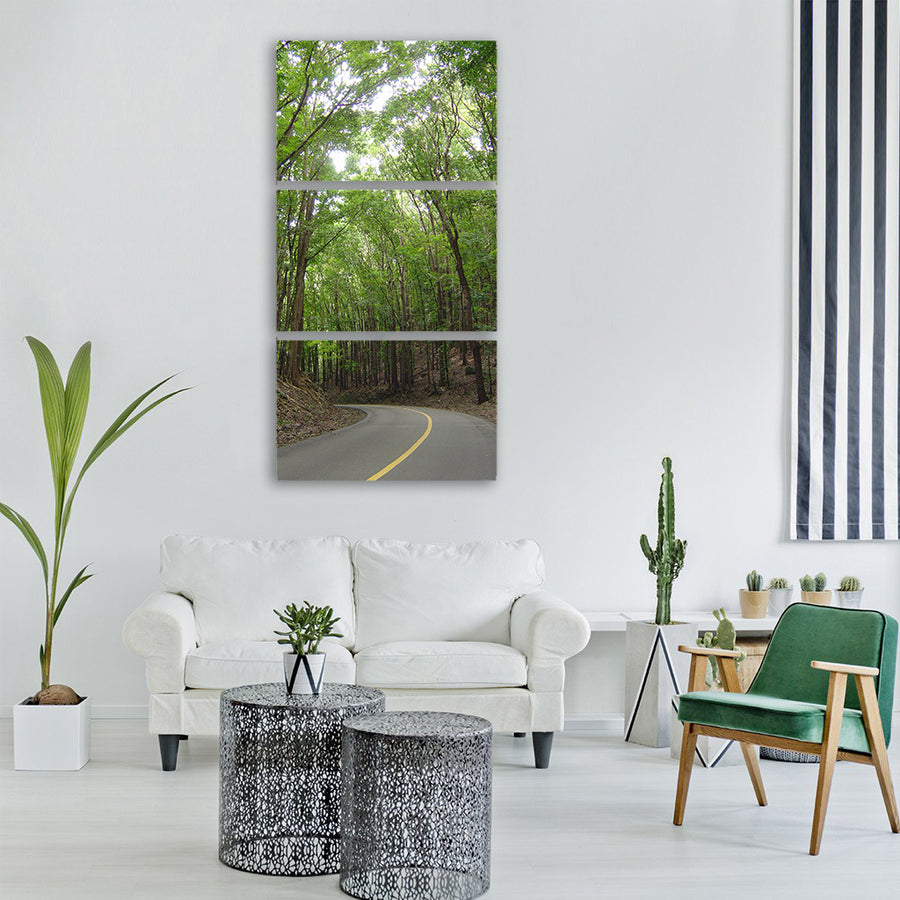 man made forest bohol philippines Vertical Canvas Wall Art