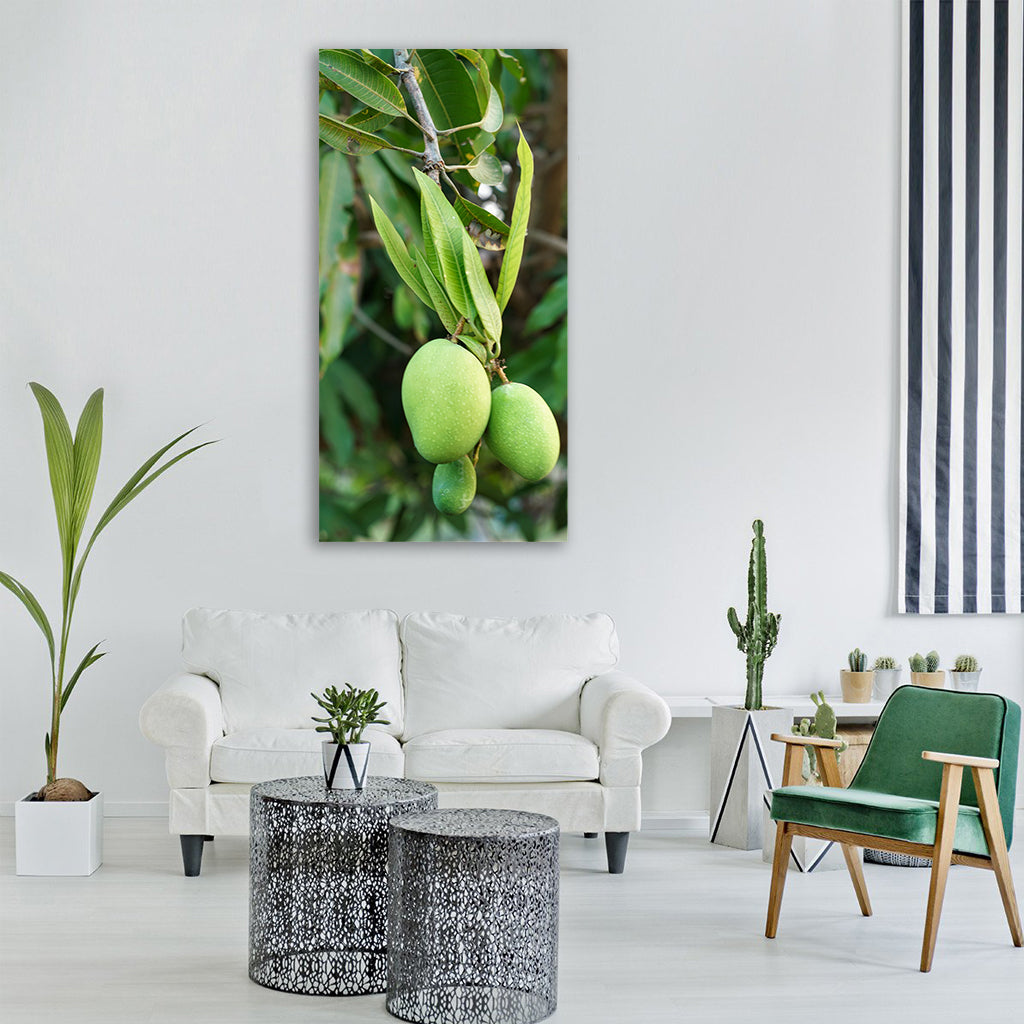 mango tree young growing fruit Vertical Canvas Wall Art