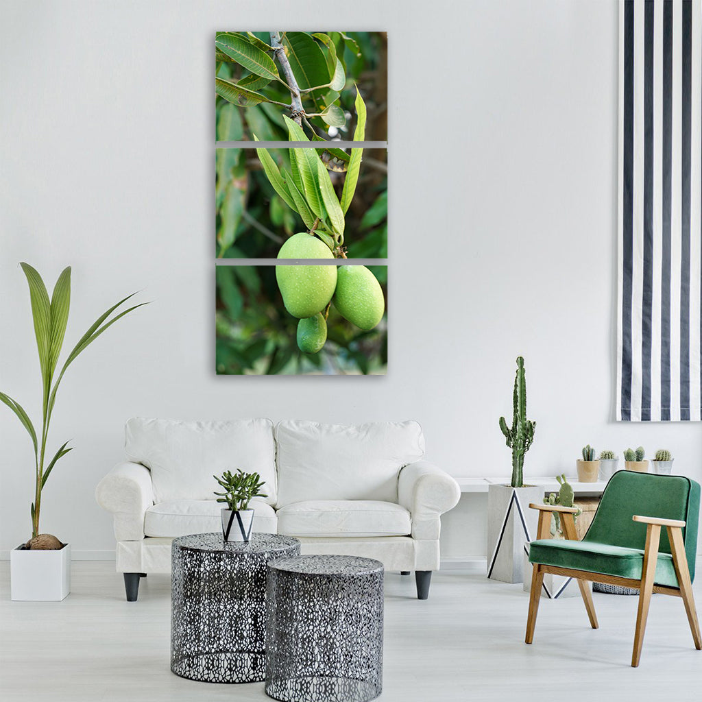 mango tree young growing fruit Vertical Canvas Wall Art