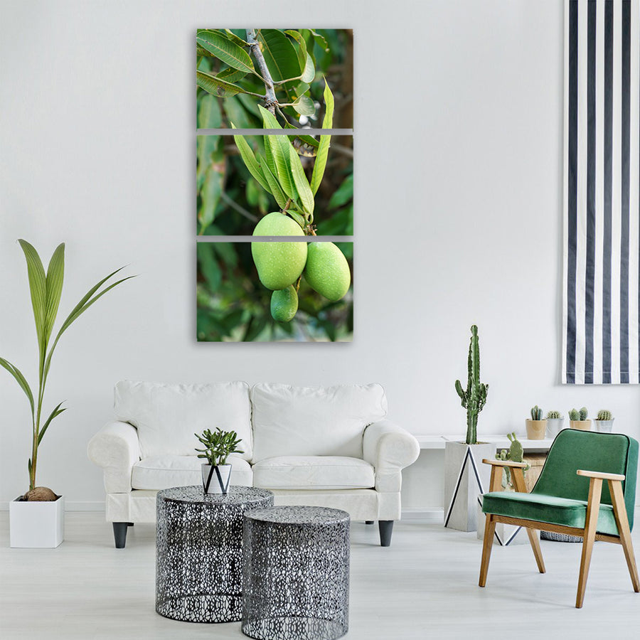 mango tree young growing fruit Vertical Canvas Wall Art