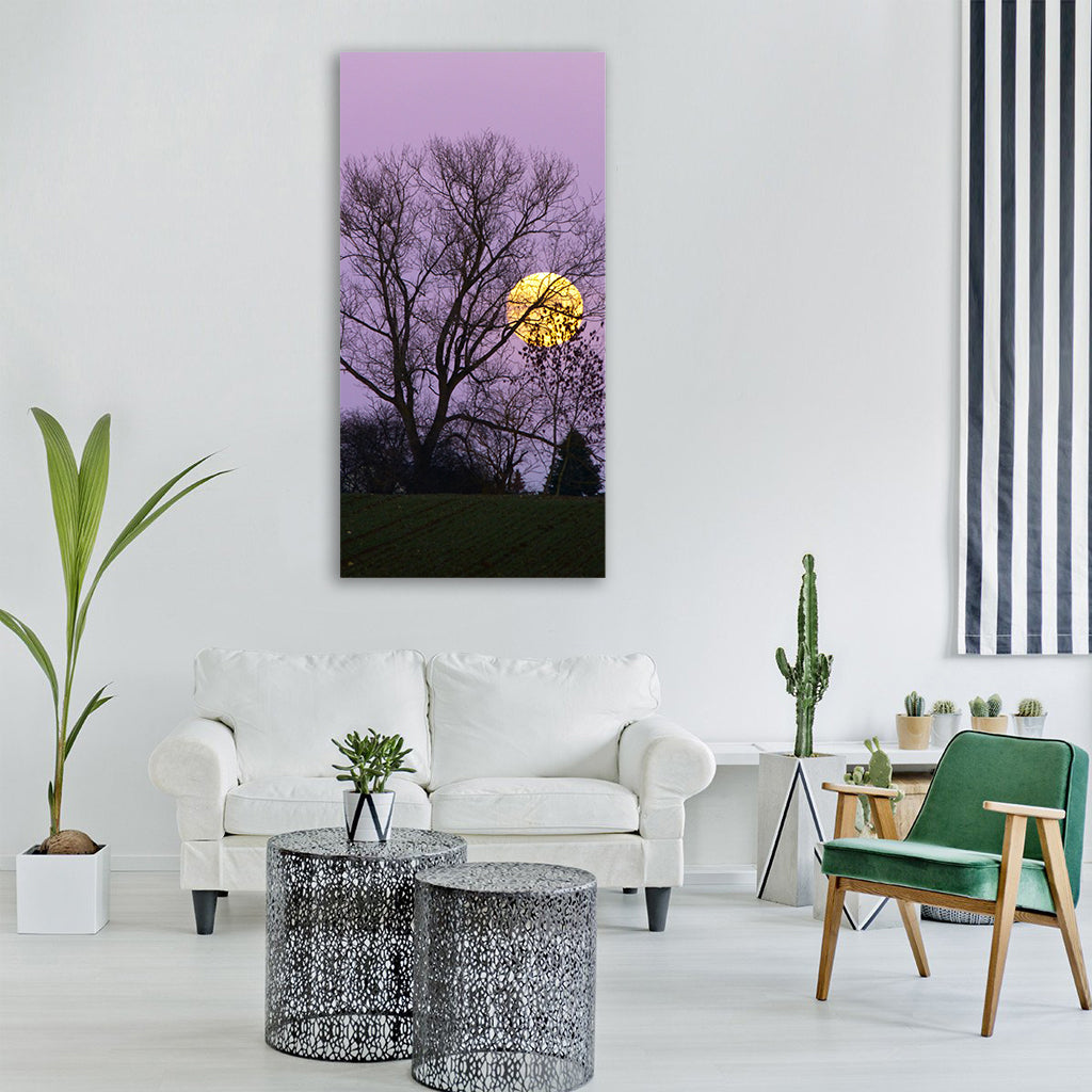 moon full moon moonrise evening Vertical Canvas Wall Art