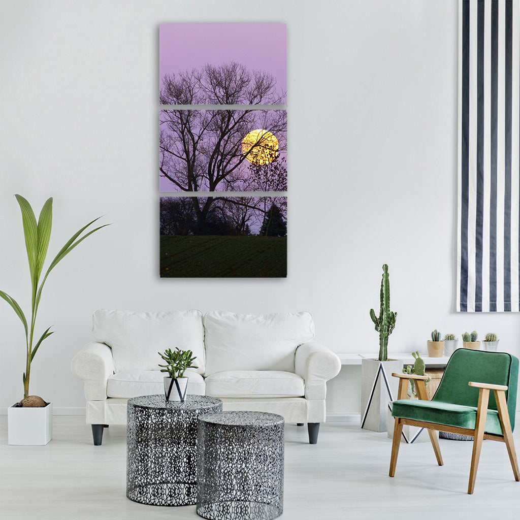 moon full moon moonrise evening Vertical Canvas Wall Art