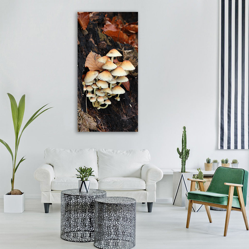 mushrooms forest autumn tree stump Vertical Canvas Wall Art