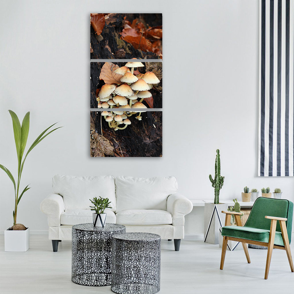 mushrooms forest autumn tree stump Vertical Canvas Wall Art