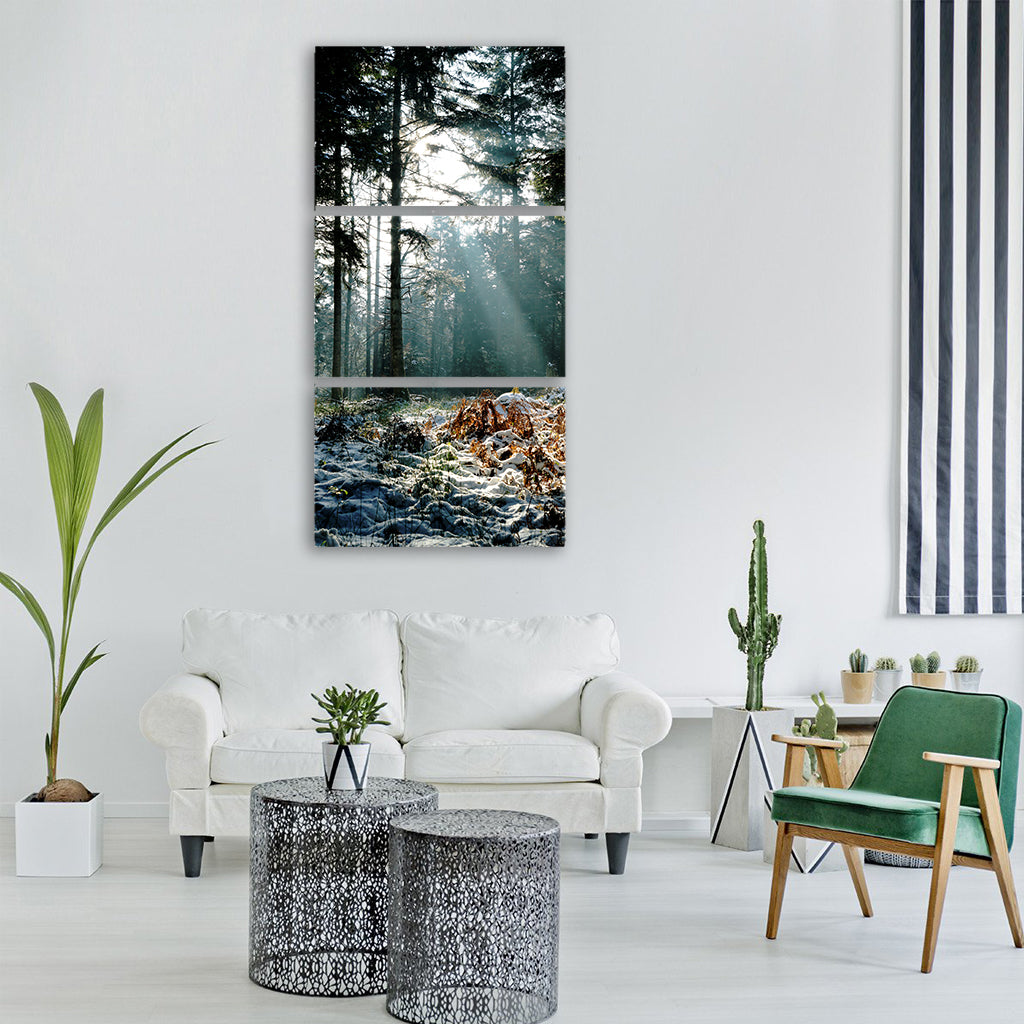 nature wood tree landscape outdoor Vertical Canvas Wall Art