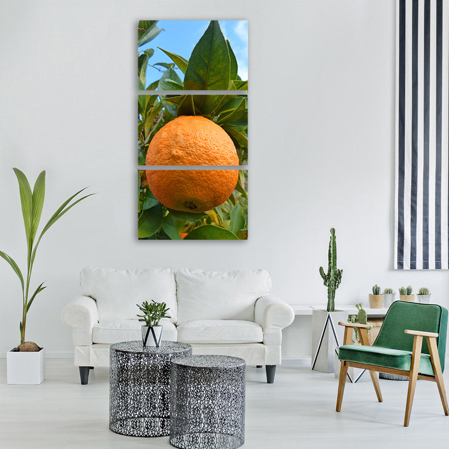 orange naranjo tree Vertical Canvas Wall Art