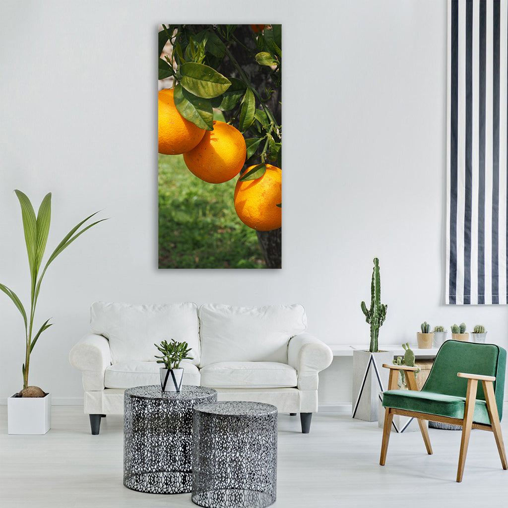 oranges fruits orange tree Vertical Canvas Wall Art