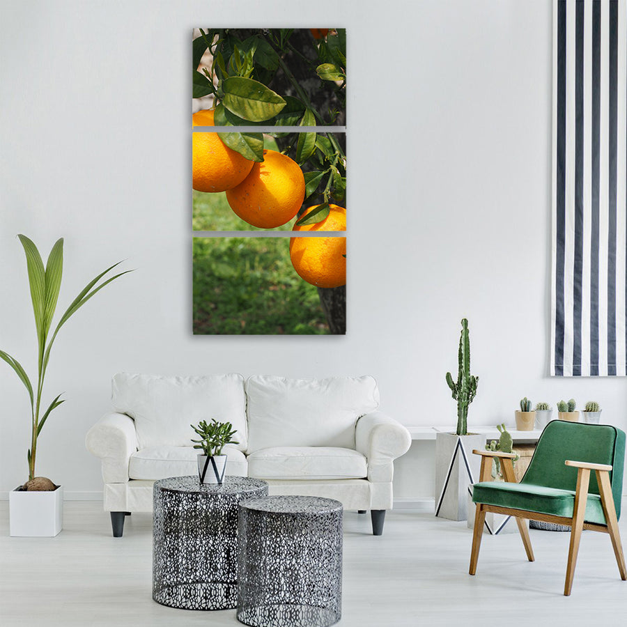 oranges fruits orange tree Vertical Canvas Wall Art