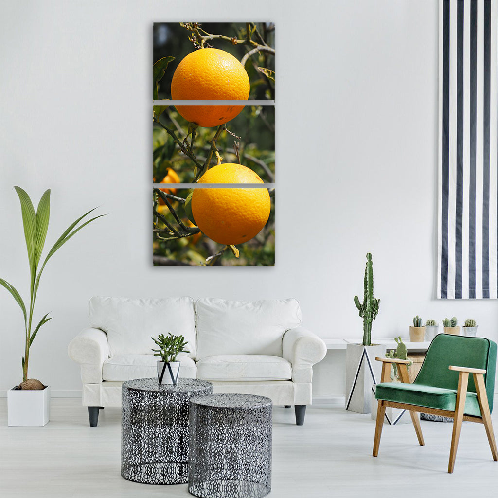 oranges fruits orange tree Vertical Canvas Wall Art
