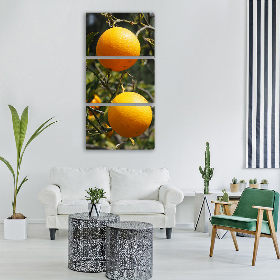 oranges fruits orange tree Vertical Canvas Wall Art