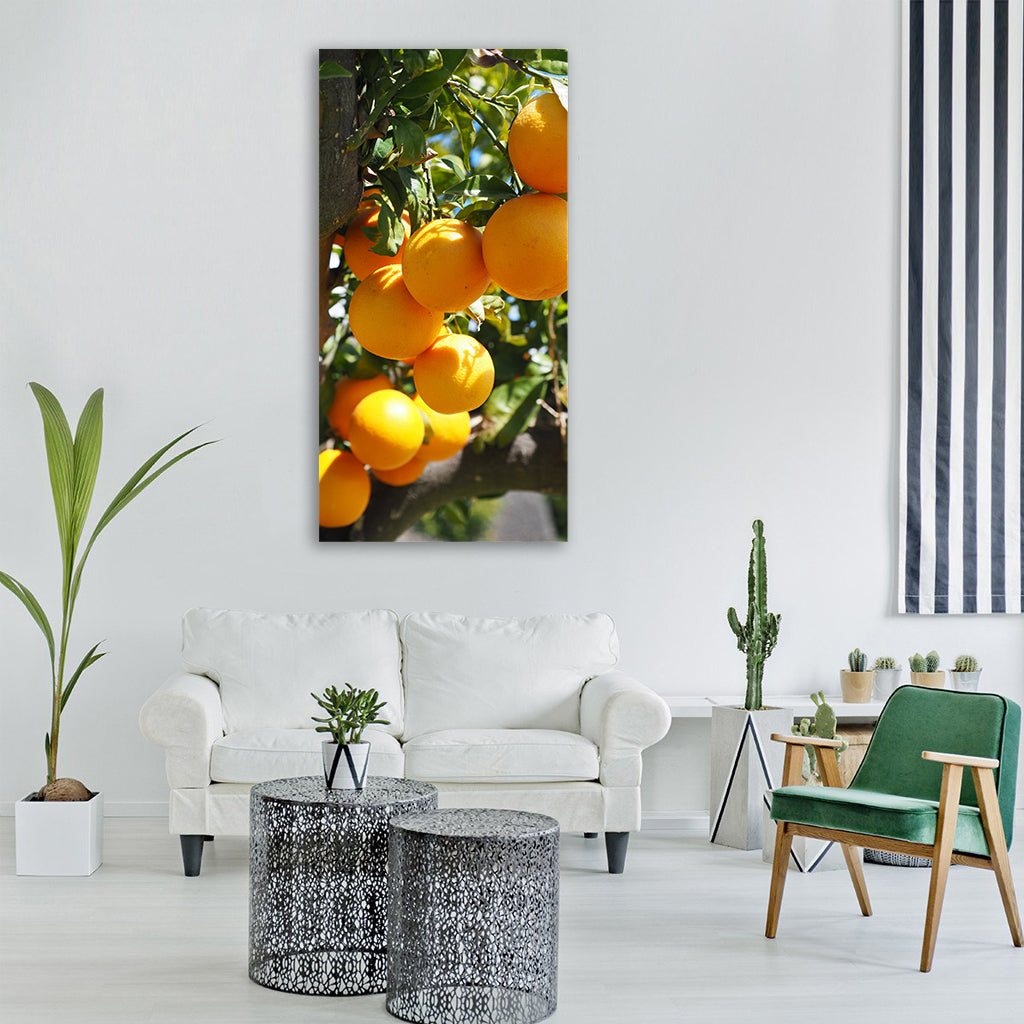 oranges fruits orange tree Vertical Canvas Wall Art