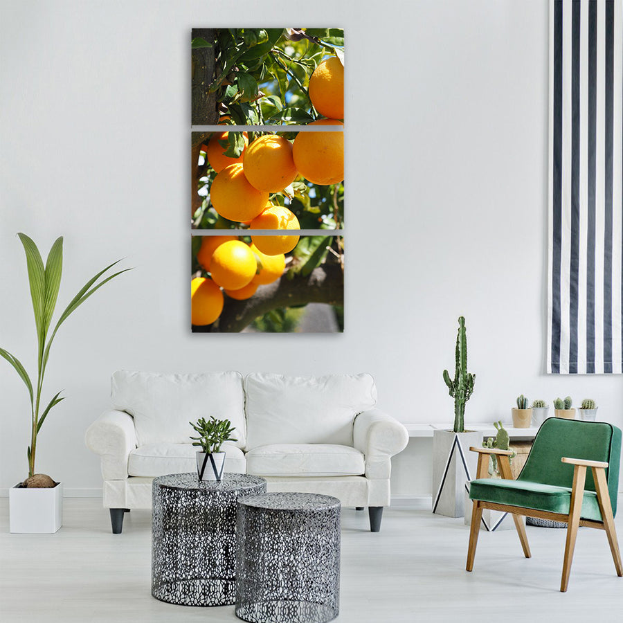 oranges fruits orange tree Vertical Canvas Wall Art