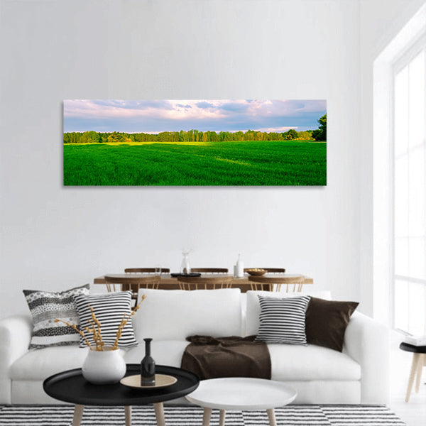 Lawn Field Nature Rural Area Sky Panoramic Canvas Wall Art