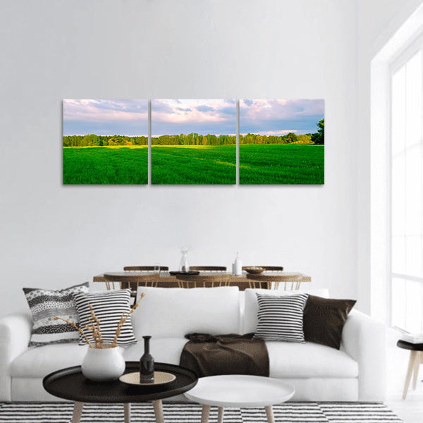 Lawn Field Nature Rural Area Sky Panoramic Canvas Wall Art